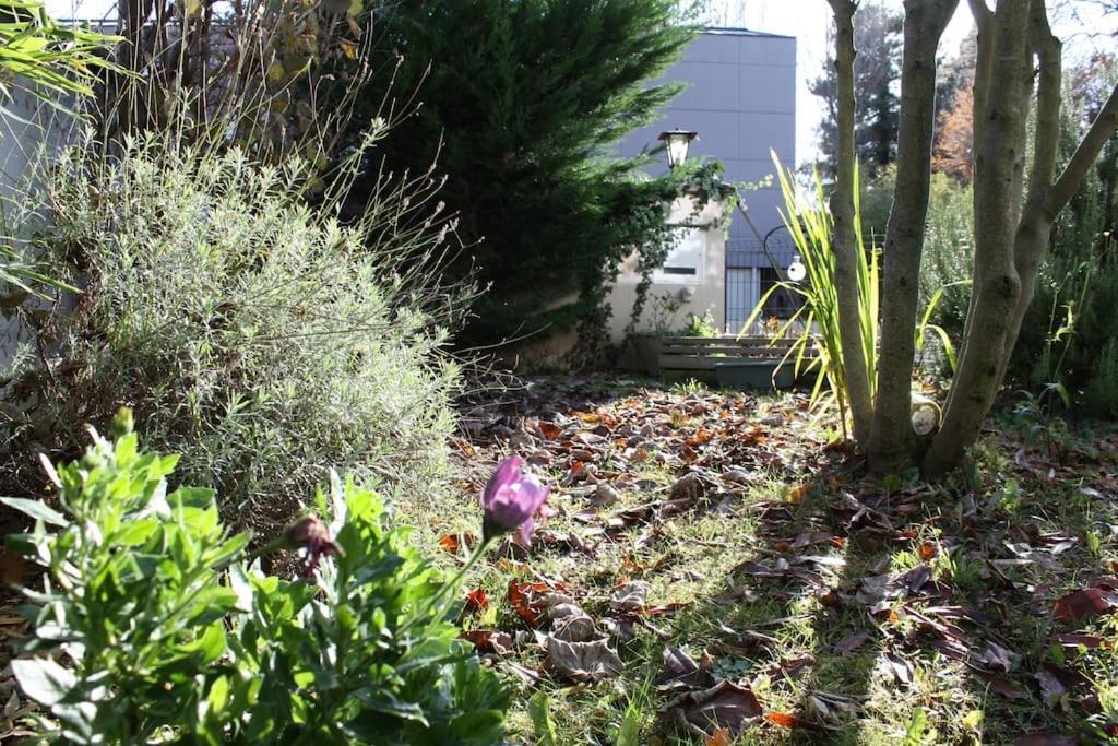 Superb Apt- Garden- 3 Parkings, Near Petite Venise ! Colmar Exterior photo