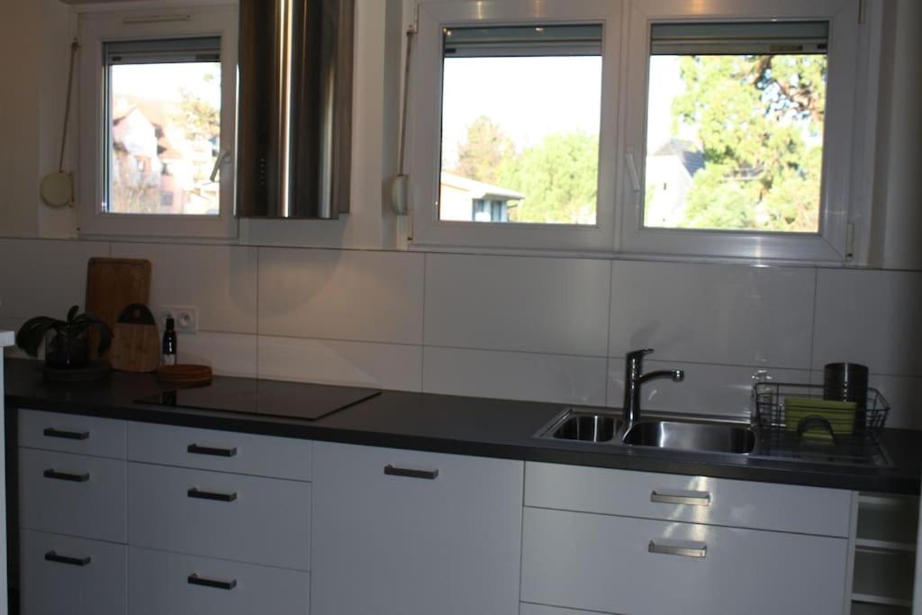 Superb Apt- Garden- 3 Parkings, Near Petite Venise ! Colmar Exterior photo