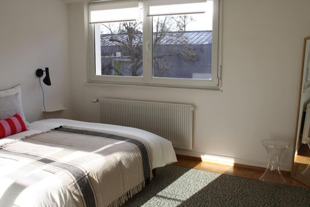 Superb Apt- Garden- 3 Parkings, Near Petite Venise ! Colmar Exterior photo